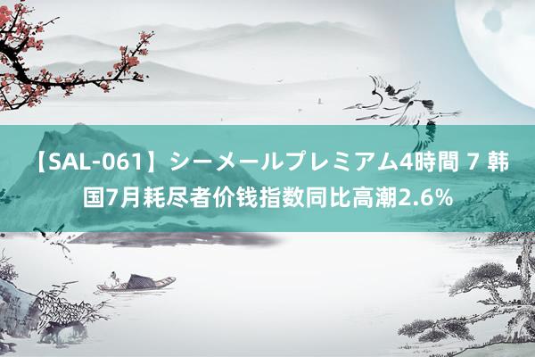 【SAL-061】シーメールプレミアム4時間 7 韩国7月耗尽者价钱指数同比高潮2.6%