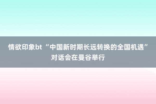 情欲印象bt “中国新时期长远转换的全国机遇”对话会在曼谷举行