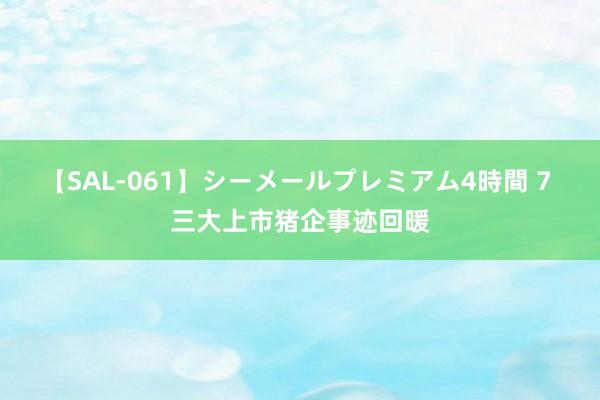 【SAL-061】シーメールプレミアム4時間 7 三大上市猪企事迹回暖