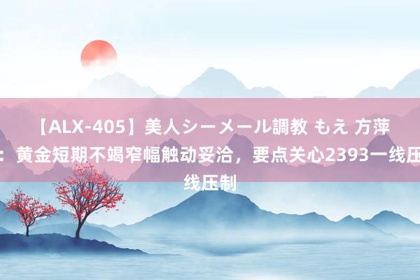 【ALX-405】美人シーメール調教 もえ 方萍萍：黄金短期不竭窄幅触动妥洽，要点关心2393一线压制