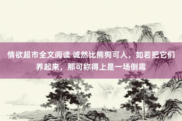 情欲超市全文阅读 诚然比熊狗可人，如若把它们养起来，那可称得上是一场倒霉