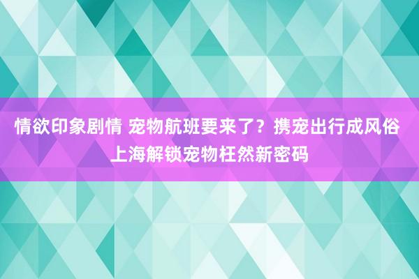 情欲印象剧情 宠物航班要来了？携宠出行成风俗 上海解锁宠物枉然新密码