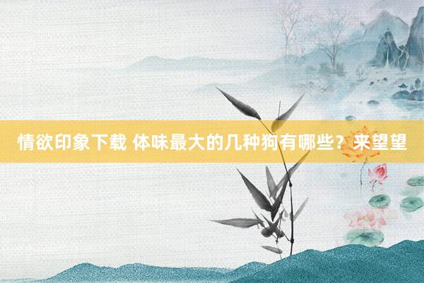 情欲印象下载 体味最大的几种狗有哪些？来望望