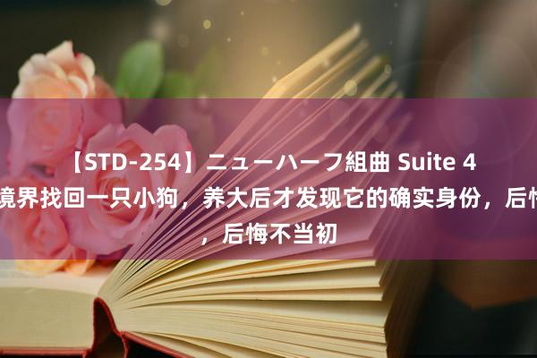 【STD-254】ニューハーフ組曲 Suite 4 女孩从境界找回一只小狗，养大后才发现它的确实身份，后悔不当初