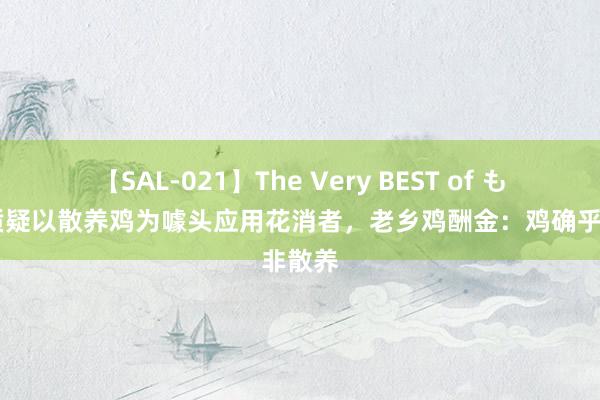 【SAL-021】The Very BEST of もえ 被质疑以散养鸡为噱头应用花消者，老乡鸡酬金：鸡确乎非散养