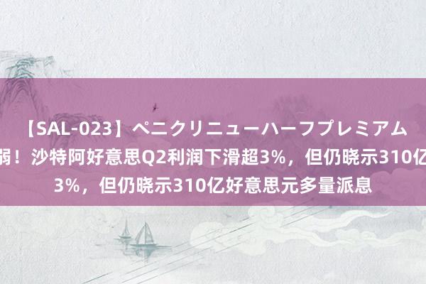 【SAL-023】ペニクリニューハーフプレミアム4時間 原油供需双弱！沙特阿好意思Q2利润下滑超3%，但仍晓示310亿好意思元多量派息