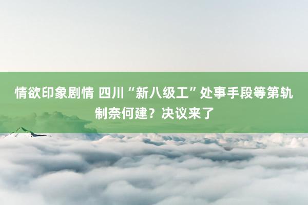 情欲印象剧情 四川“新八级工”处事手段等第轨制奈何建？决议来了