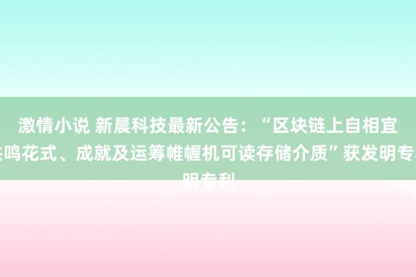 激情小说 新晨科技最新公告：“区块链上自相宜共鸣花式、成就及运筹帷幄机可读存储介质”获发明专利