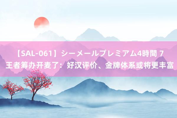 【SAL-061】シーメールプレミアム4時間 7 王者筹办开麦了：好汉评价、金牌体系或将更丰富