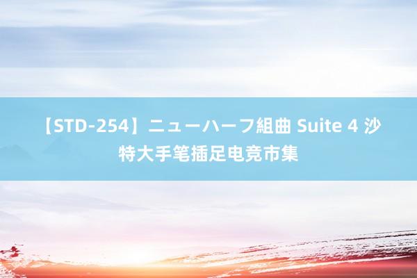 【STD-254】ニューハーフ組曲 Suite 4 沙特大手笔插足电竞市集