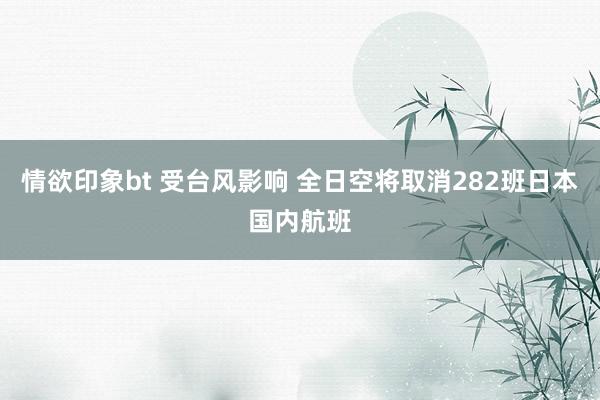 情欲印象bt 受台风影响 全日空将取消282班日本国内航班