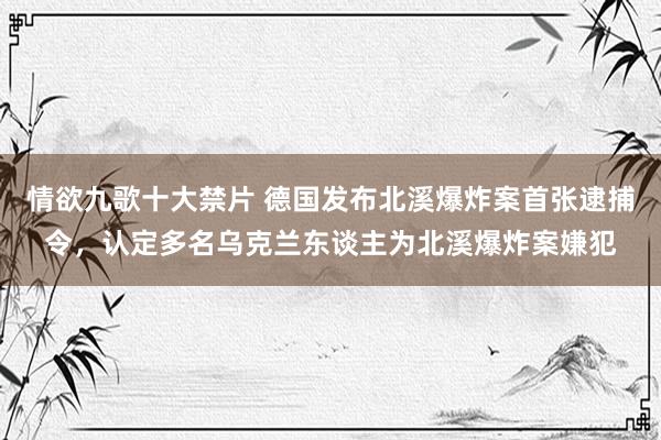 情欲九歌十大禁片 德国发布北溪爆炸案首张逮捕令，认定多名乌克兰东谈主为北溪爆炸案嫌犯