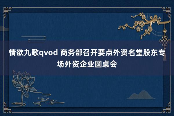 情欲九歌qvod 商务部召开要点外资名堂股东专场外资企业圆桌会