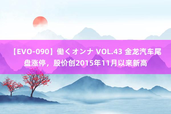 【EVO-090】働くオンナ VOL.43 金龙汽车尾盘涨停，股价创2015年11月以来新高