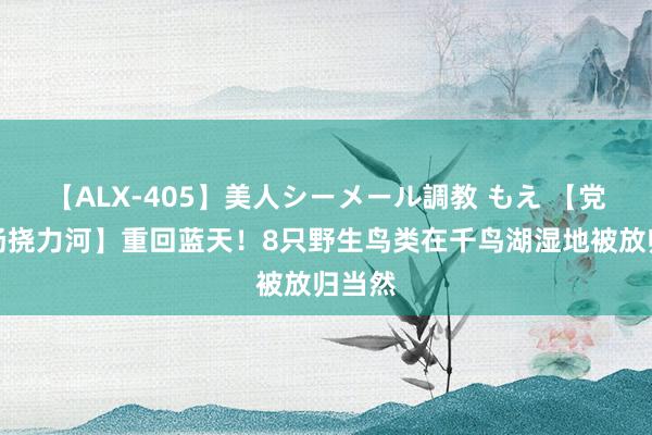 【ALX-405】美人シーメール調教 もえ 【党旗高扬挠力河】重回蓝天！8只野生鸟类在千鸟湖湿地被放归当然