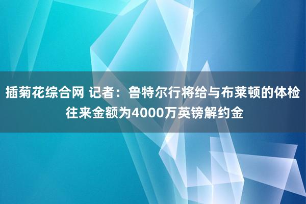 插菊花综合网 记者：鲁特尔行将给与布莱顿的体检 往来金额为4000万英镑解约金