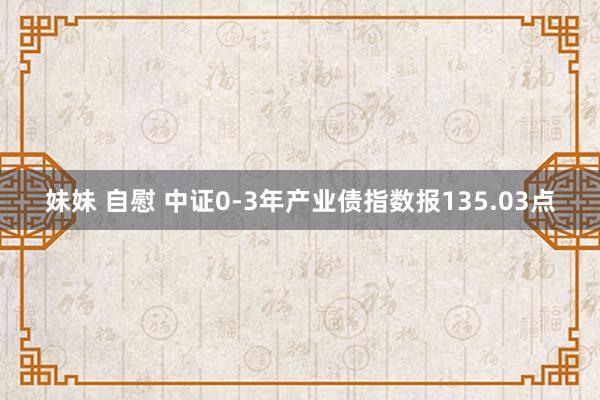 妹妹 自慰 中证0-3年产业债指数报135.03点