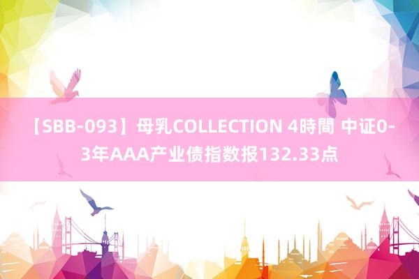 【SBB-093】母乳COLLECTION 4時間 中证0-3年AAA产业债指数报132.33点