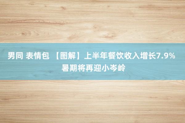 男同 表情包 【图解】上半年餐饮收入增长7.9%  暑期将再迎小岑岭