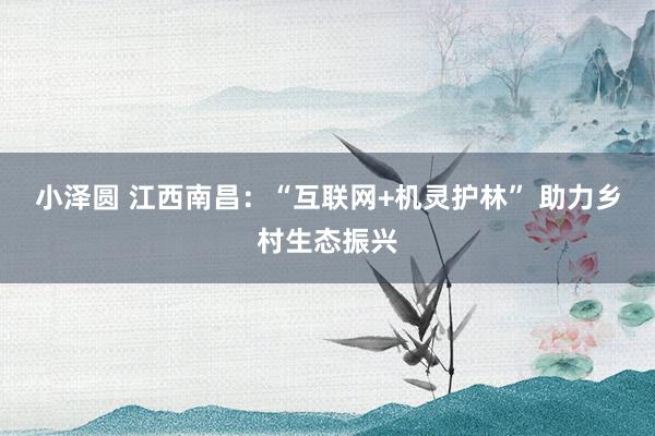 小泽圆 江西南昌：“互联网+机灵护林” 助力乡村生态振兴