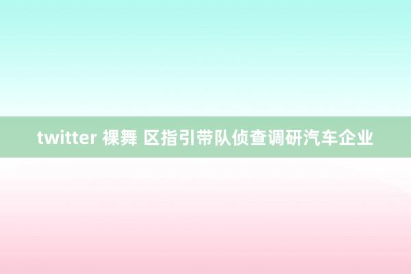 twitter 裸舞 区指引带队侦查调研汽车企业