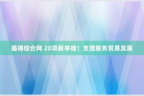 插揷综合网 20项新举措！支捏服务贸易发展