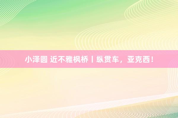 小泽圆 近不雅枫桥丨纵贯车，亚克西！