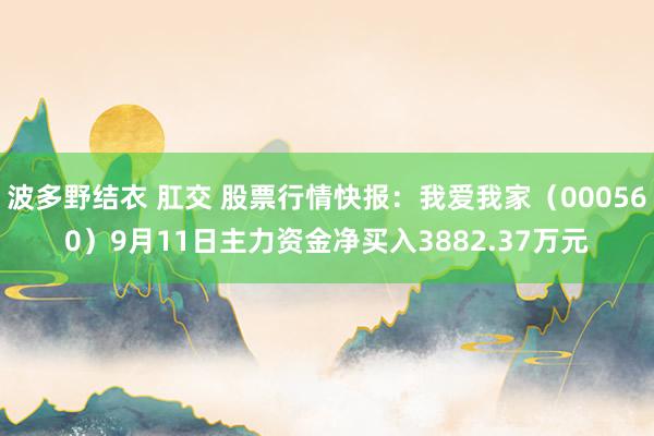 波多野结衣 肛交 股票行情快报：我爱我家（000560）9月11日主力资金净买入3882.37万元