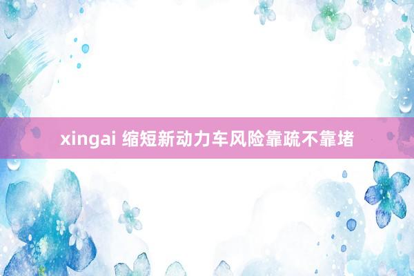 xingai 缩短新动力车风险靠疏不靠堵