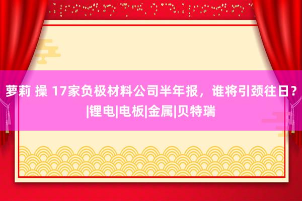 萝莉 操 17家负极材料公司半年报，谁将引颈往日？|锂电|电板|金属|贝特瑞