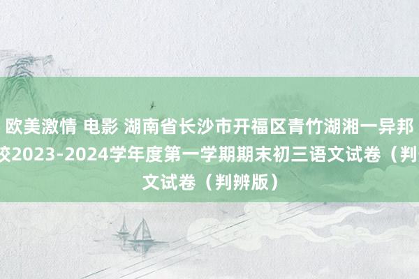 欧美激情 电影 湖南省长沙市开福区青竹湖湘一异邦语学校2023-2024学年度第一学期期末初三语文试卷（判辨版）